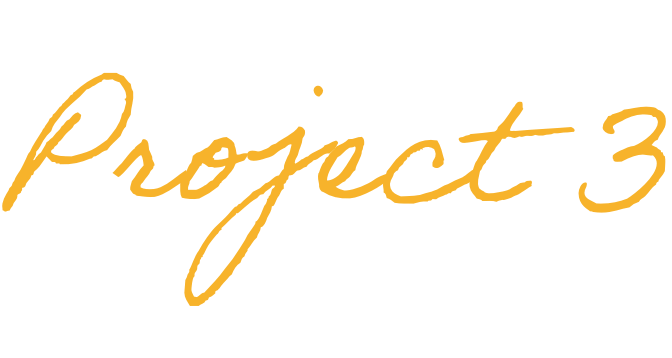 project3